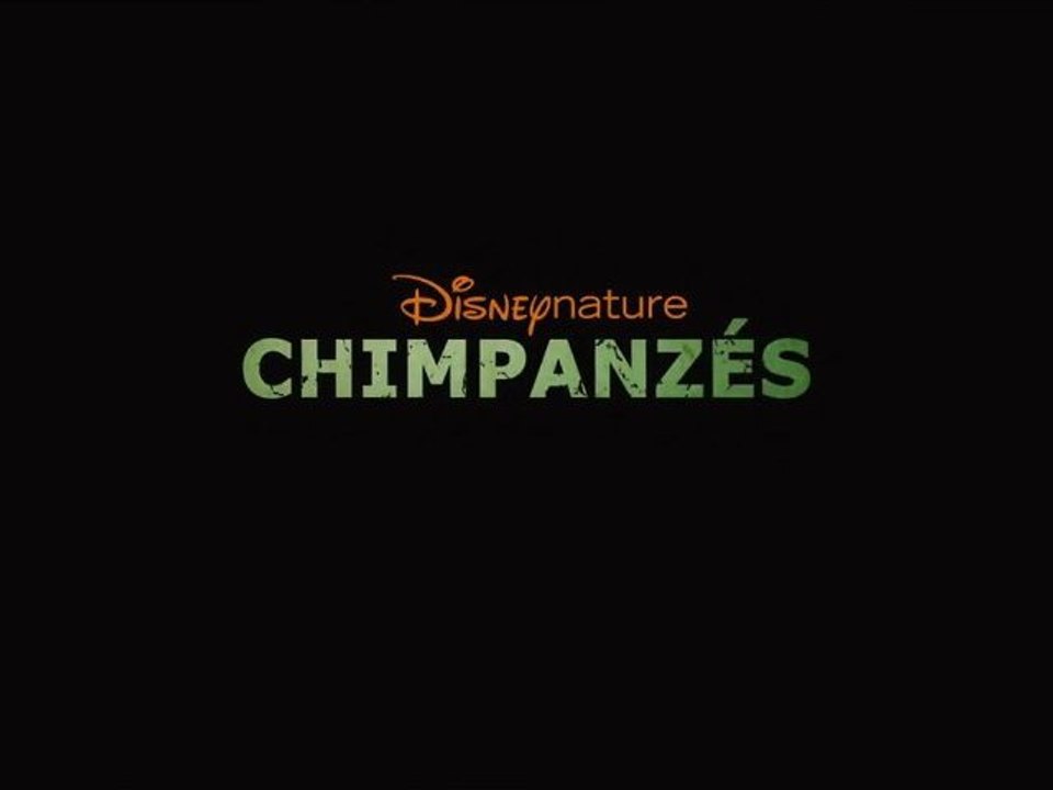 CHIMPANZÉS - Bande-Annonce DisneyNature [VF|HD1080p]