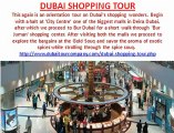 Dubai holiday packages with evening desert safari.