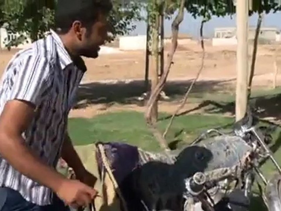 Türkei: Eskalation im Grenzgebiet | Europa Aktuell