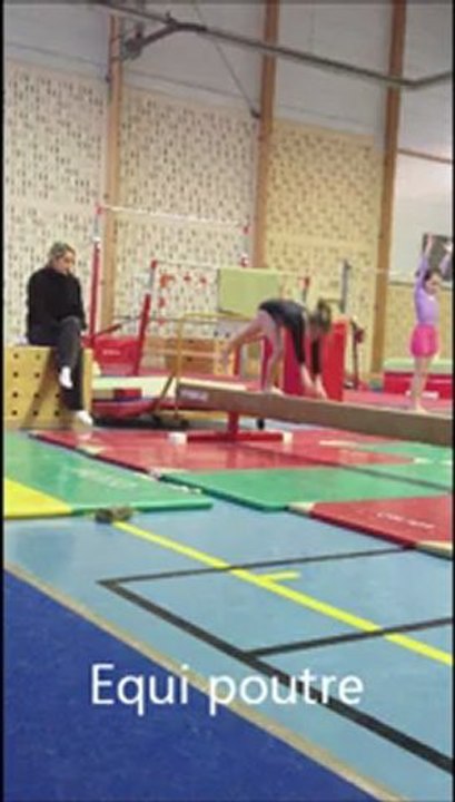 gym puce