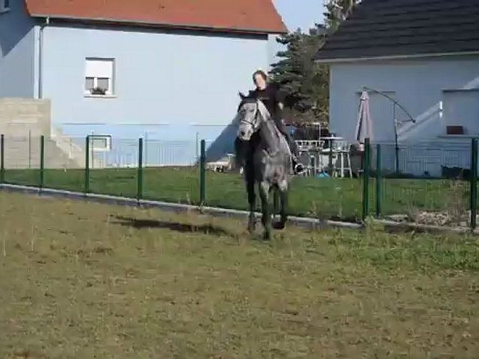 Joc galop main droite