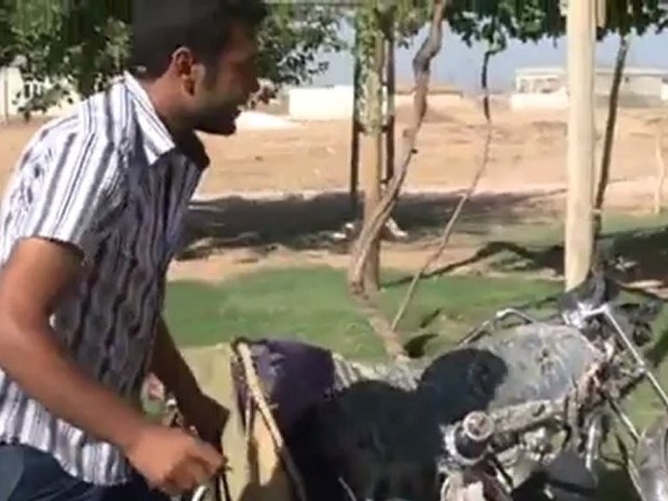 Turkey: Escalating tension along the border | European Journal