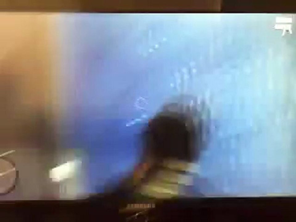 Video Gta 4