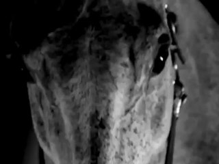 Mohammad - Sakrifis (directed by Babis Makridis)