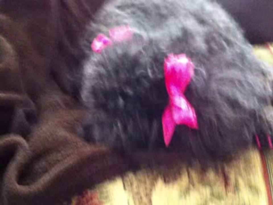 Abby LaRue takes a Snooze