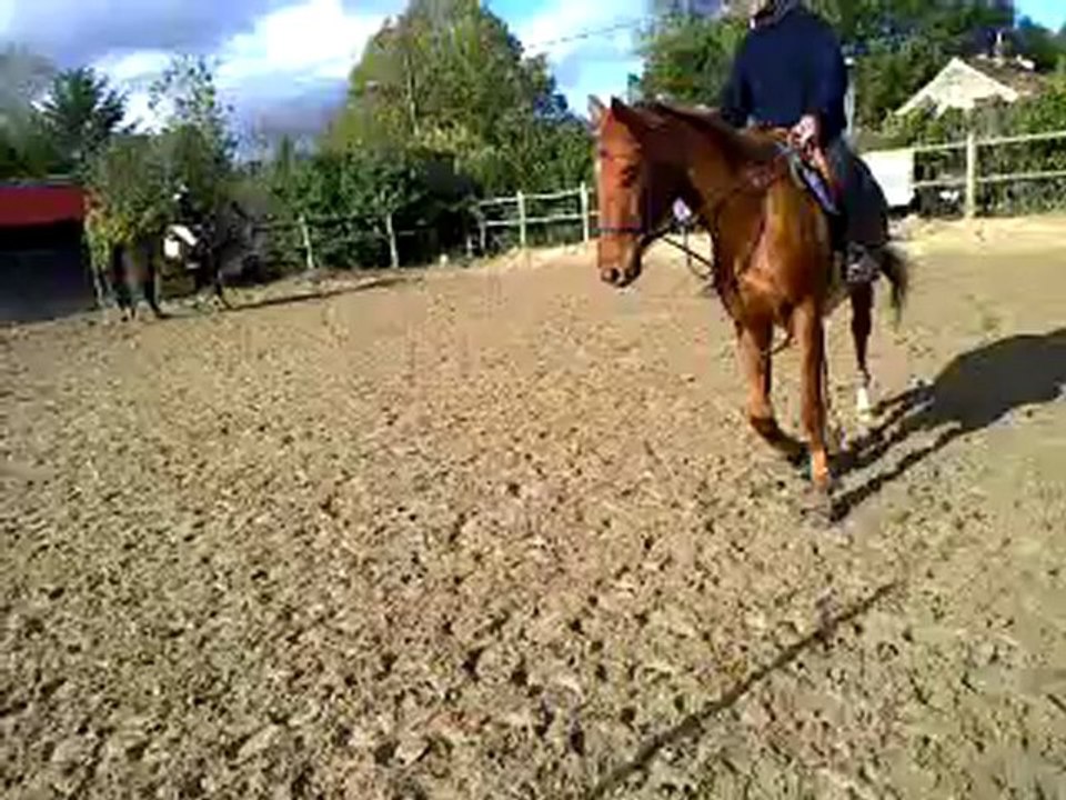 so rocco2