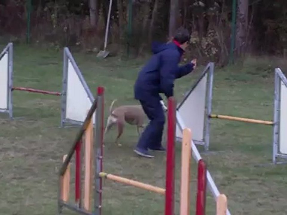 entrainement Gi-Linn 1er Novembre 2012