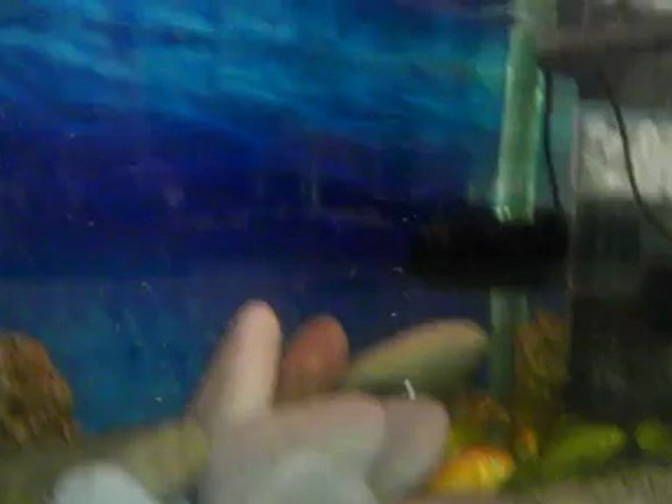 VIDEO0070