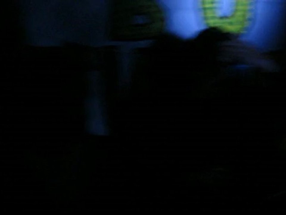 Les Crabes Verts, Live au Magnicourtstock 2012