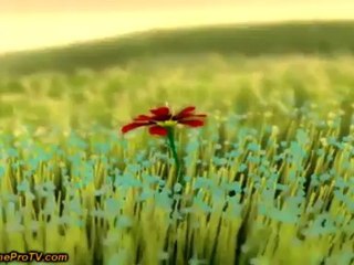 Flower (PS3)