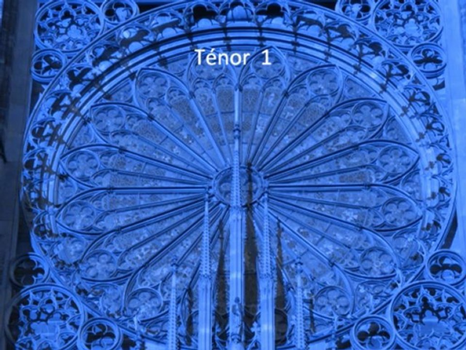 Les cloches de la Cathedrale de Strasbourg_ténor 1