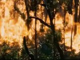 The Hunger Games - Forest Fire Scene HQ