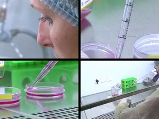 IRO - Institut de Recherche en Ophtalmologie