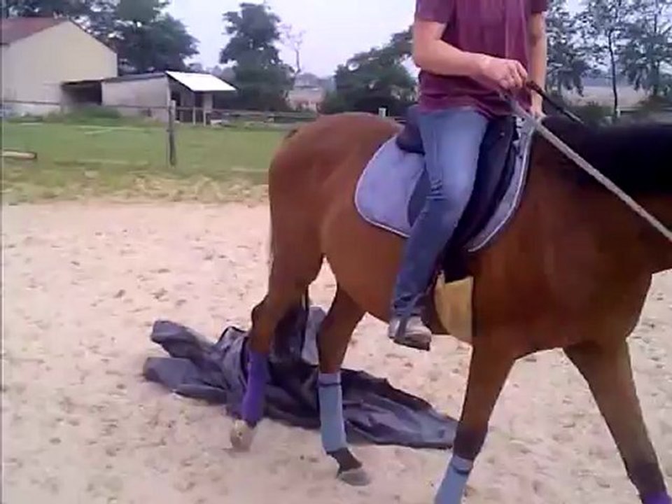 Miss s'amuse avec une bache...