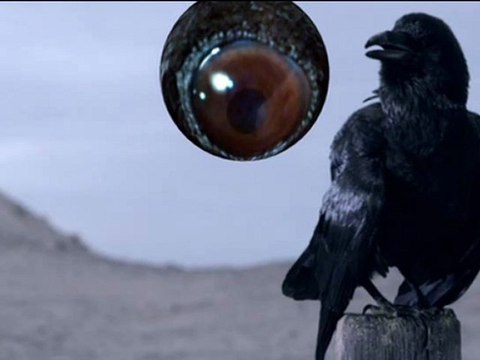 Walking In My Shoes Live Screen - Depeche Mode