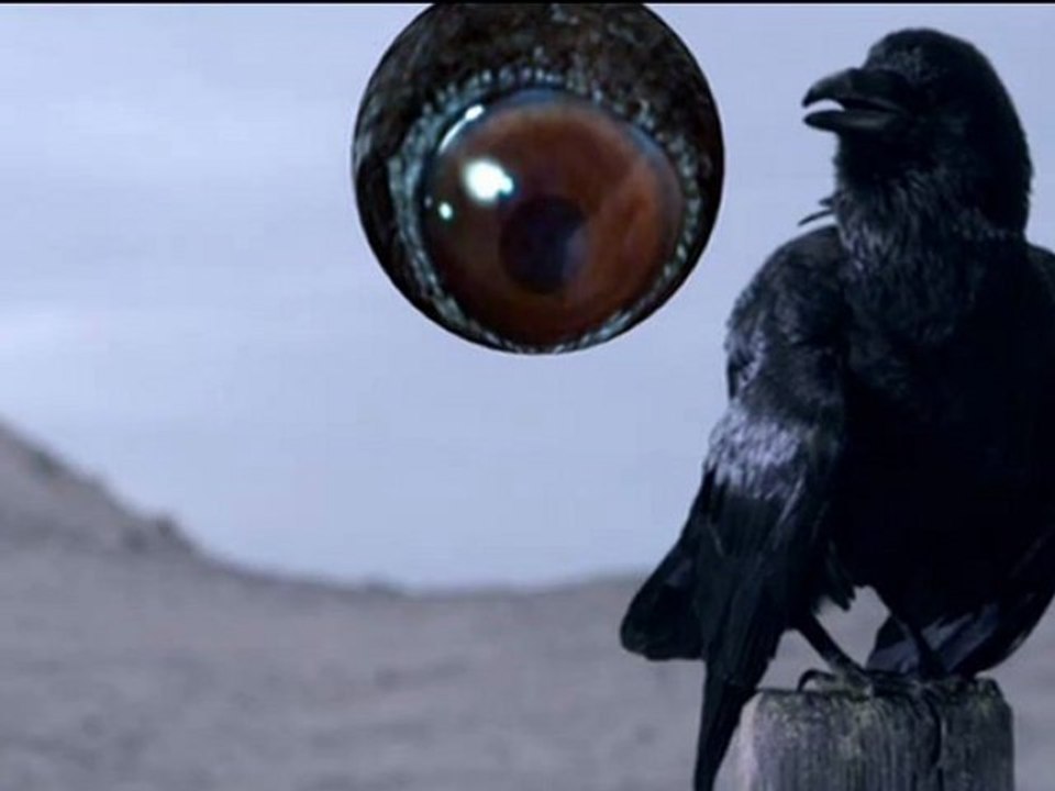 Walking In My Shoes Live Screen - Depeche Mode