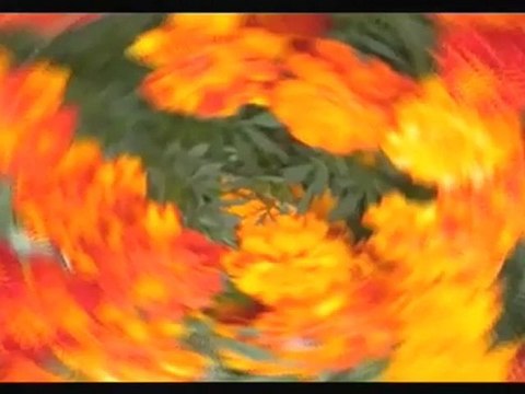 FIN DES TEMPS APPARITION de la Vierge Marie 9-12 La Vierge-Marie revient sur terre