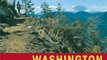 Travel Book Review: Foghorn Outdoors Washington Hiking: The Complete Guide to More Than 400 Hikes by Scott Leonard