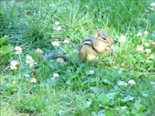 j’ai faim ! - Cedric B