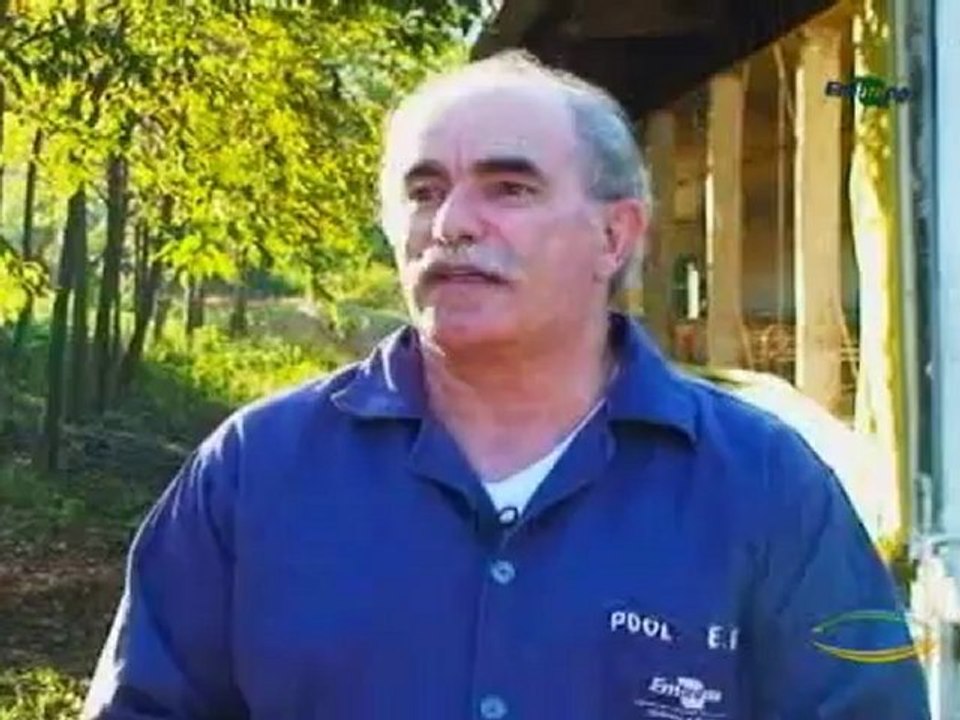 Dia de Campo na TV do dia 03-11-2012