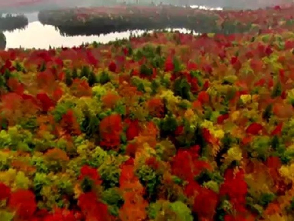 Under The Sun - Part 1: "The Sun & The Earth"