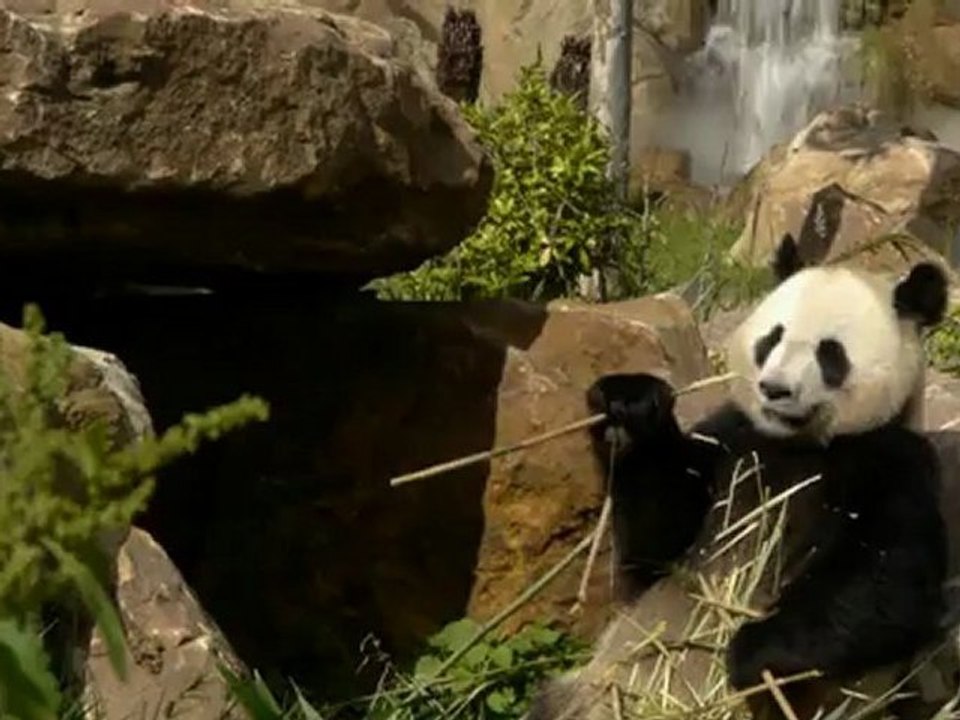 Clip promotionnel du Conseil général de Loir et Cher