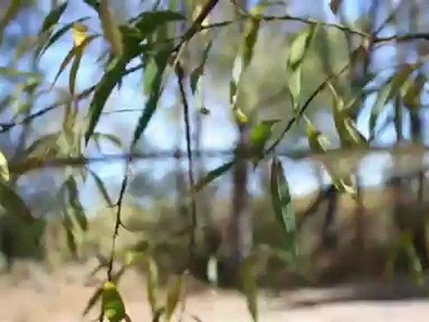 Assassin's Creed 3 - Meets Parkour in Real Life