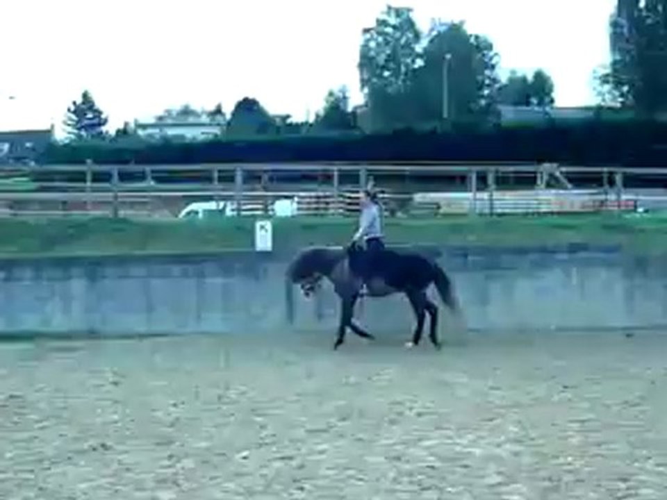 P1030622