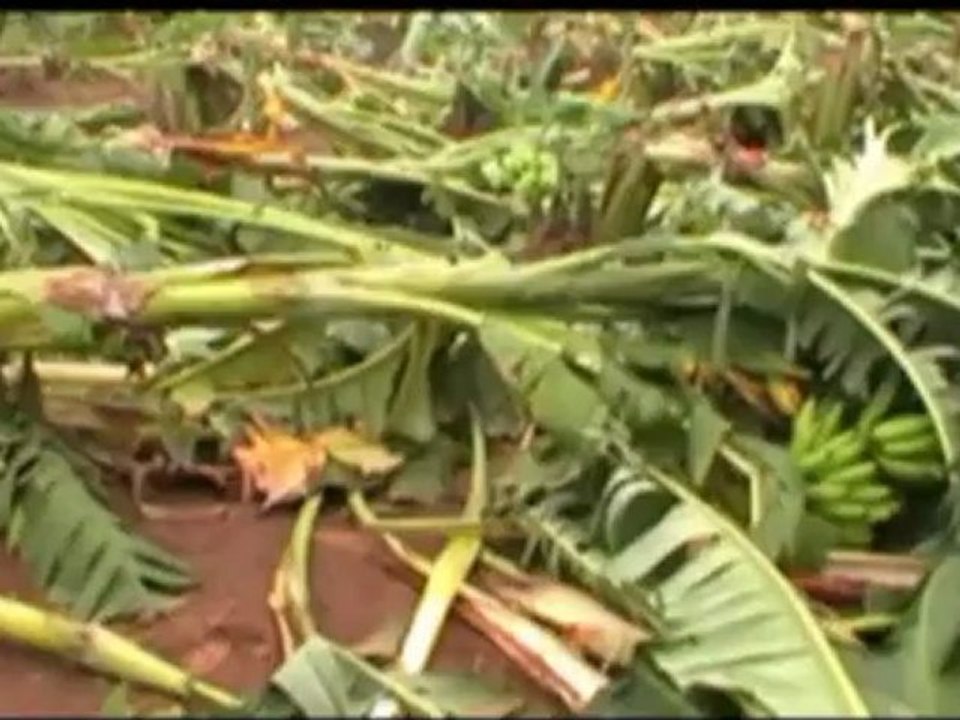 India Cyclone damages