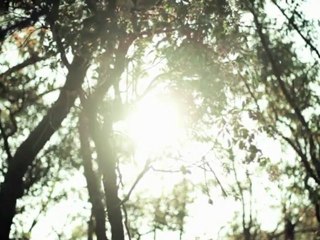 One Night's Not Enough(maxi version)