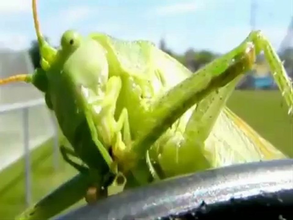 Yeşilçam Klipleri 18