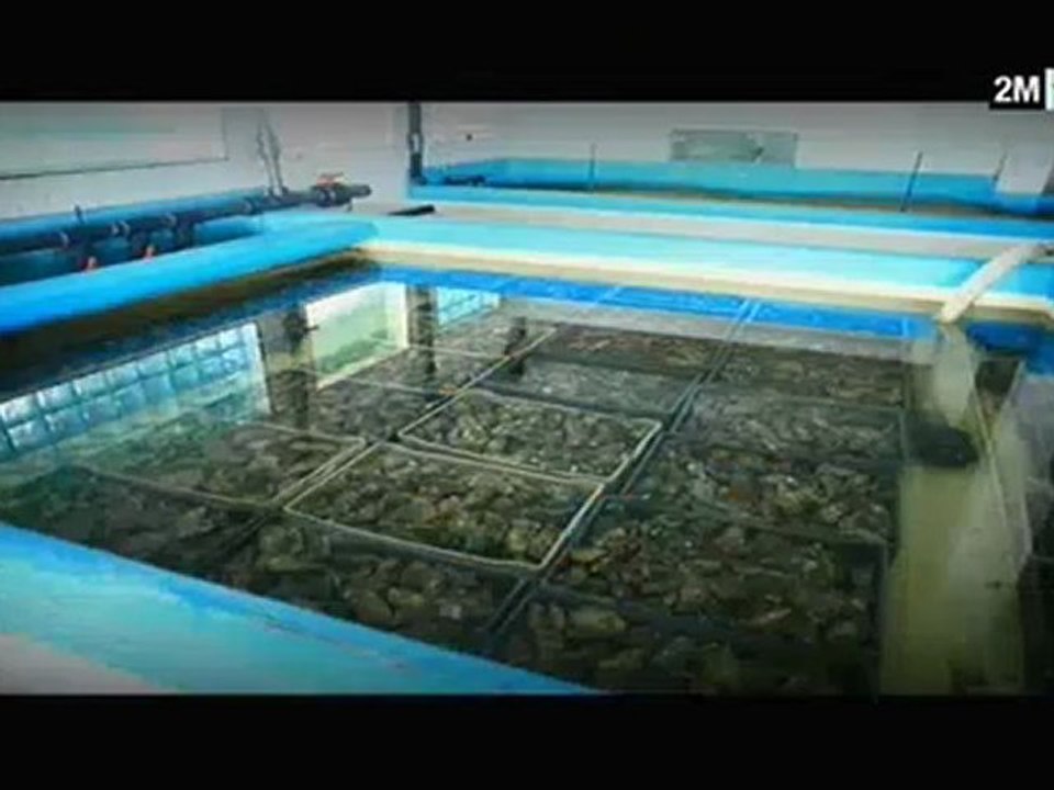 Le Maroc que j'aime : Oualidia