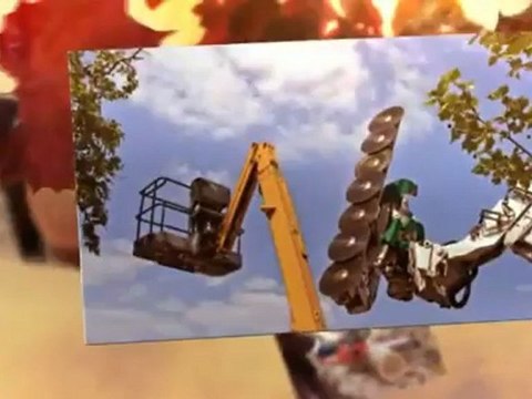 Aucoin's Tree Service & Stump Grinding (225) 683-4736