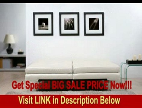 Gold Sparrow Memphis White Double Cushion Futon Sofa Bed REVIEW