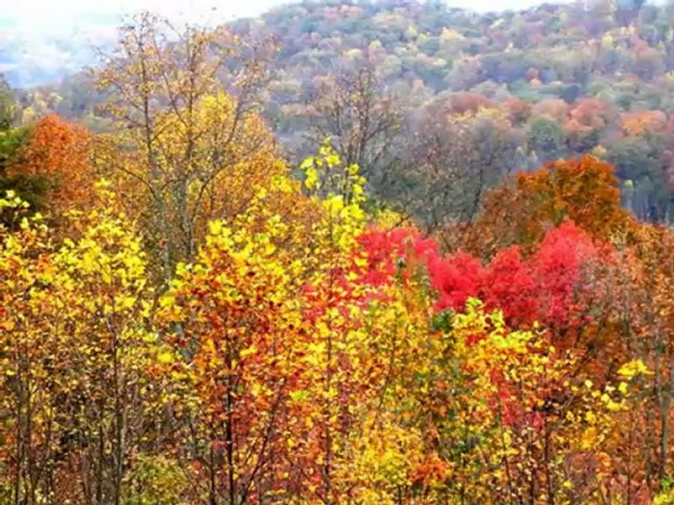 Great Smoky Mountains .Tennessee