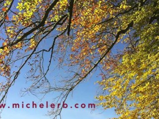 Michel Erb Sensei à Morez ( Jura ) stage d'automne 2012