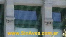 SIN AVES EEUU 2012 Redes Aduana San Francisco 1A