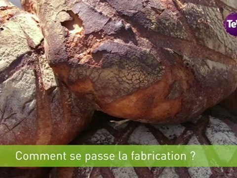 8 novembre 2012 - L'origine du pain de Normandie (blé et lin locaux)