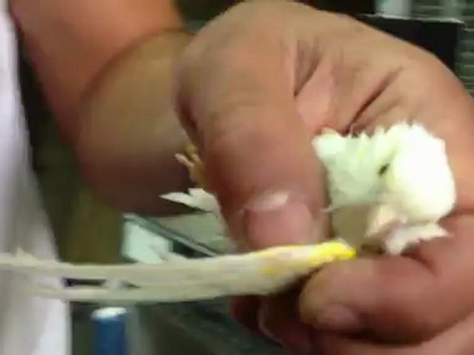 lavage  c'est une prmière pour moi