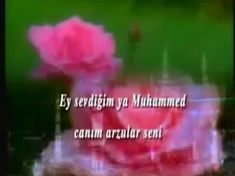 Yunus Emre - Arayı arayı bulsam izini