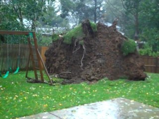 Les vidéos terrifiantes de Sandy : un vrai film d'horreur pour les habitants !