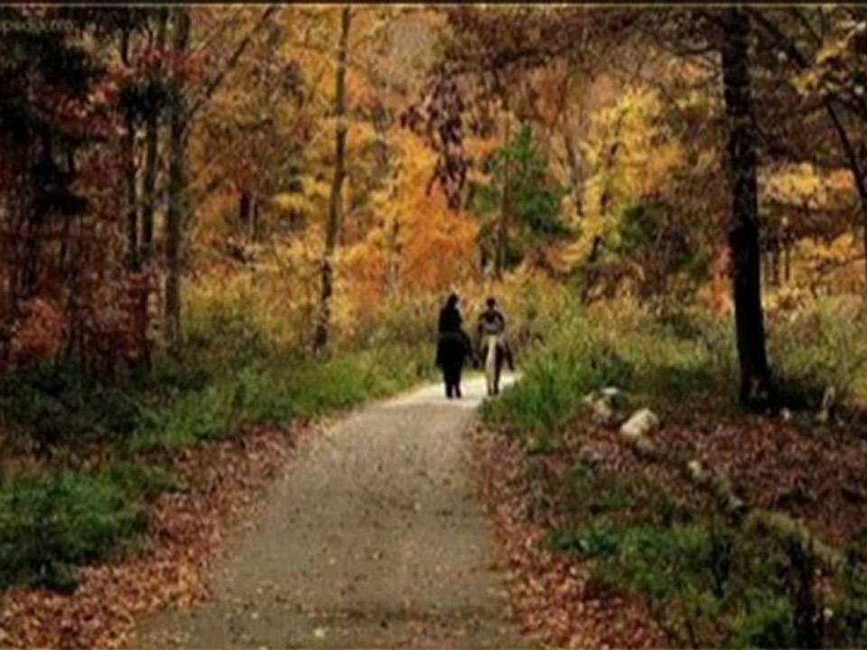 Sen Bu Şiiri Okurken