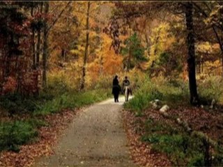 Sen Bu Şiiri Okurken