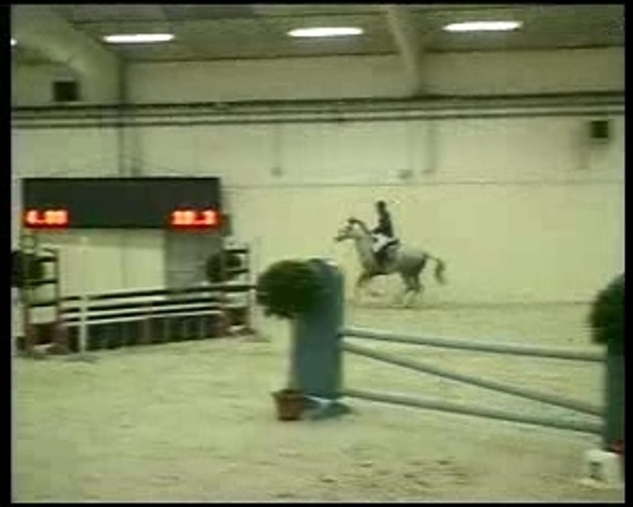 Indou au salon du cheval