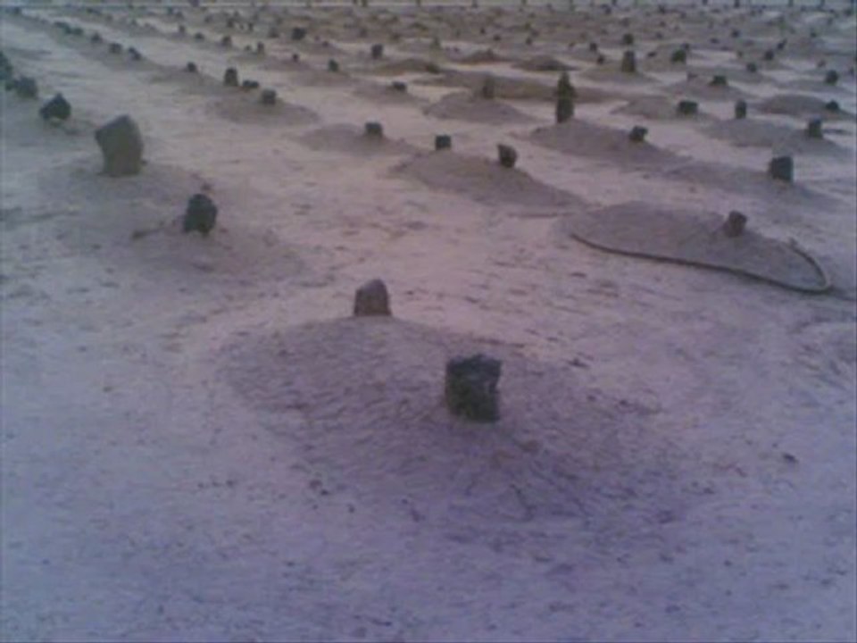 قصيدة ذنوبك يا مغرور تحصى وتحسب