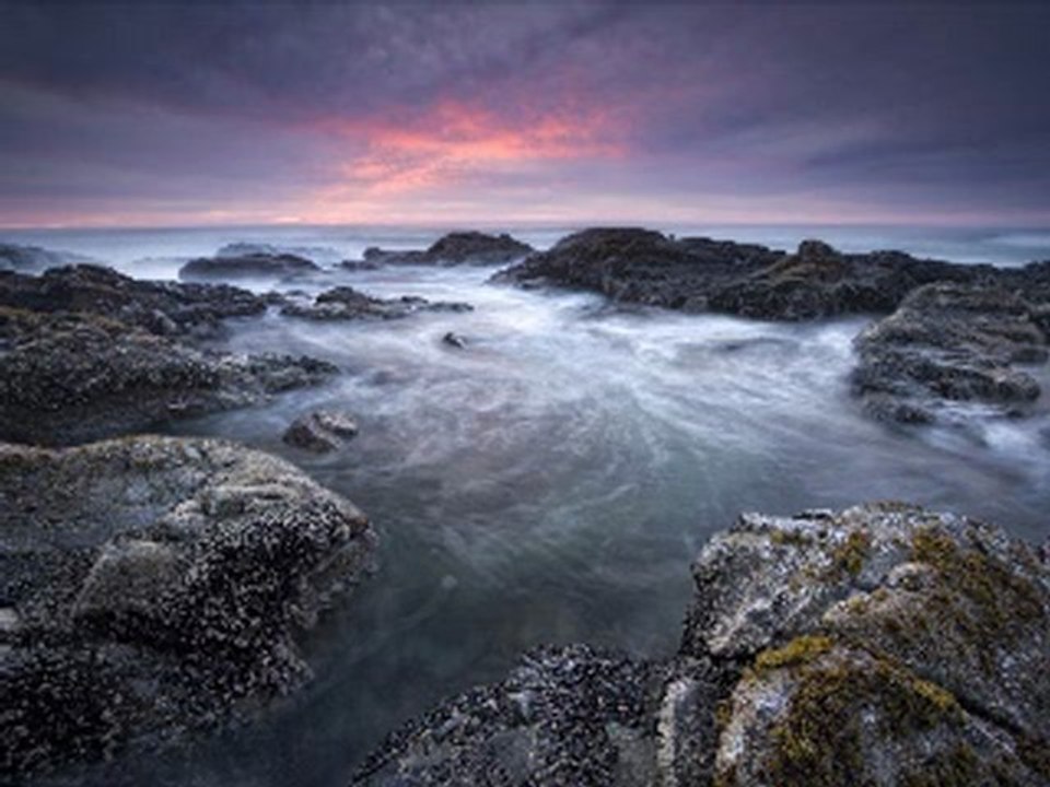 session mi-tempo , de la merveille - kikar