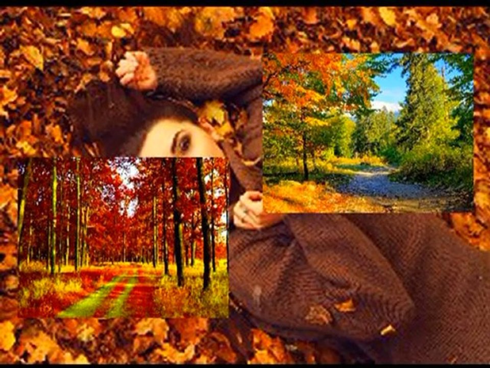 CZERWONE GITARY - KWIATY WE WŁOSACH