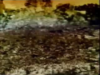 Gesichter des Todes 6