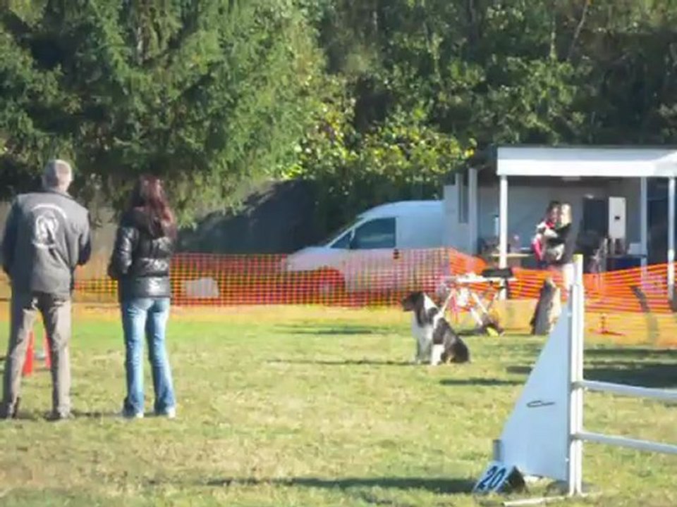 Canis Club Palois 28-10-2012