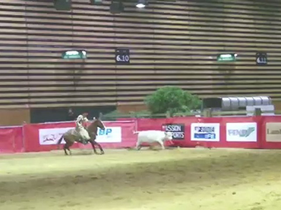 Manoel Pourras working cow à Equita'Lyon